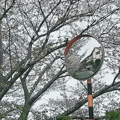 Profile image of 勇斗