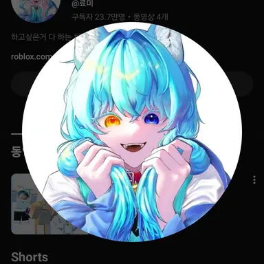 Profile image of 료미