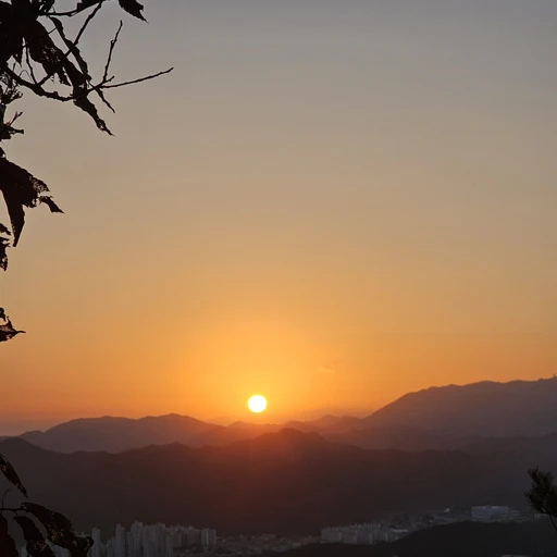 박지원