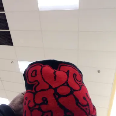 Profile image of Lani