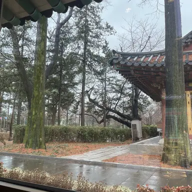 Profile image of 박성진