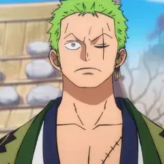 LeanerSwab8242의 Zoro