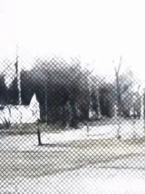 Cozy_is_tired의 무도