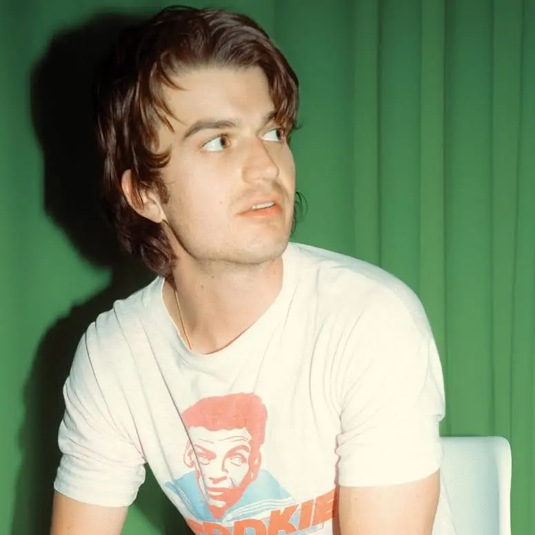 StockyScarf2783의 Joe keery