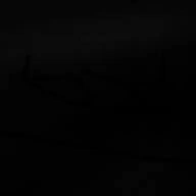 Profile image of 레이