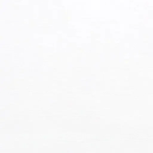 BrownSnow2686의 최수빉