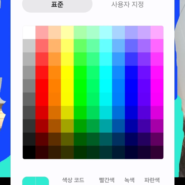 베드걸