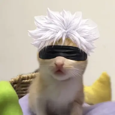 Profile image of 잼민이