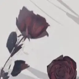 Profile image of ローレン・イロアス