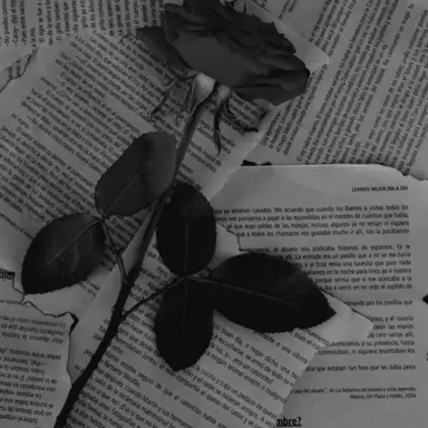 Profile image of 우융