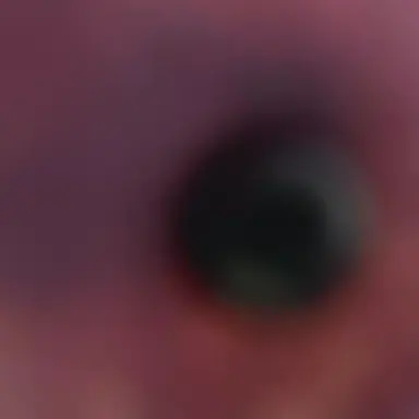 Profile image of 유아