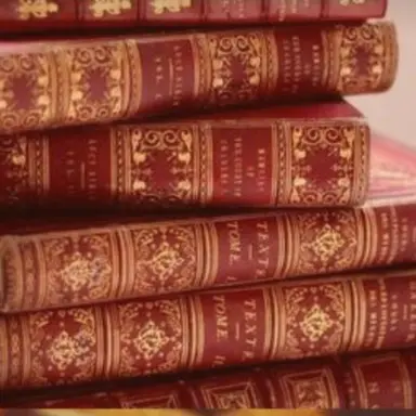 Profile image of 헤르미온느 그레인저