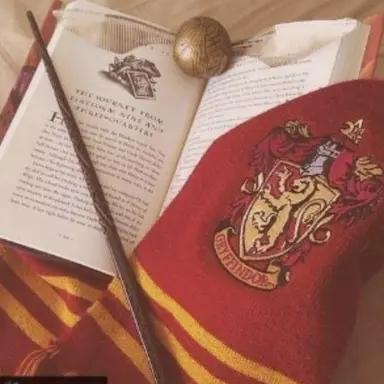 Profile image of 해리포터