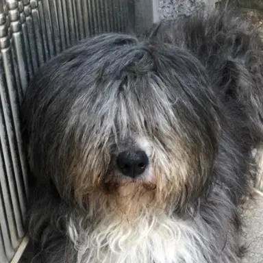 Profile image of 미스터리