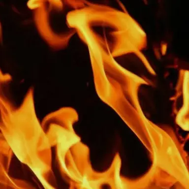 Profile image of 귀마