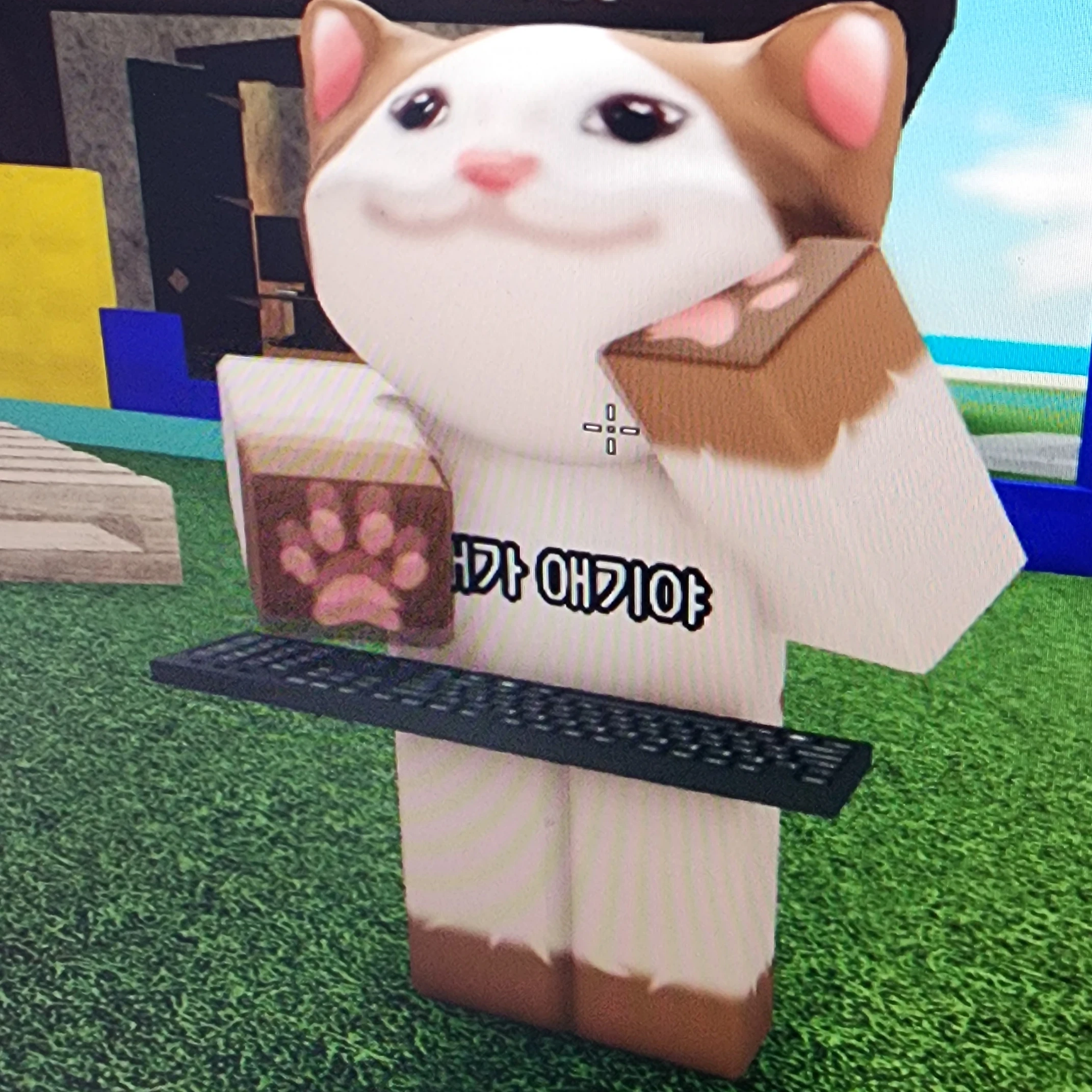 팝캣