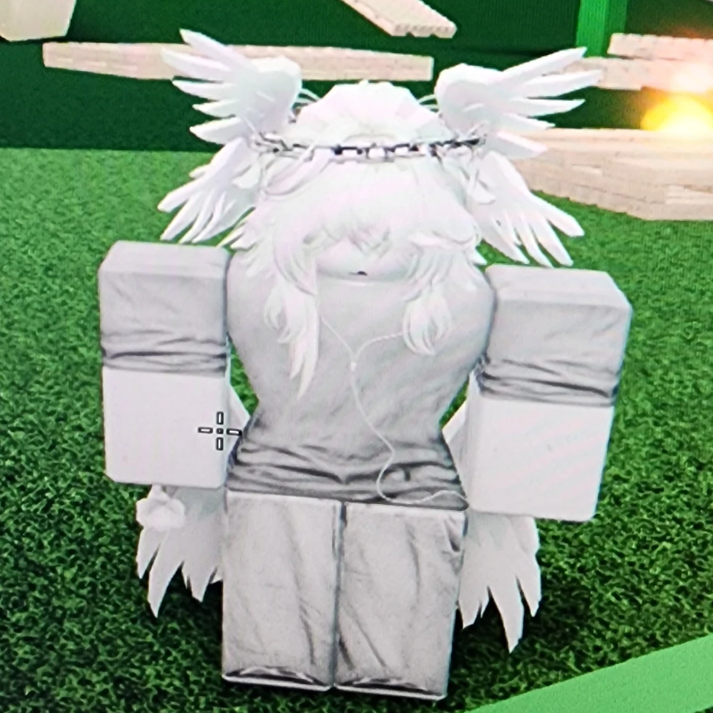 화이트