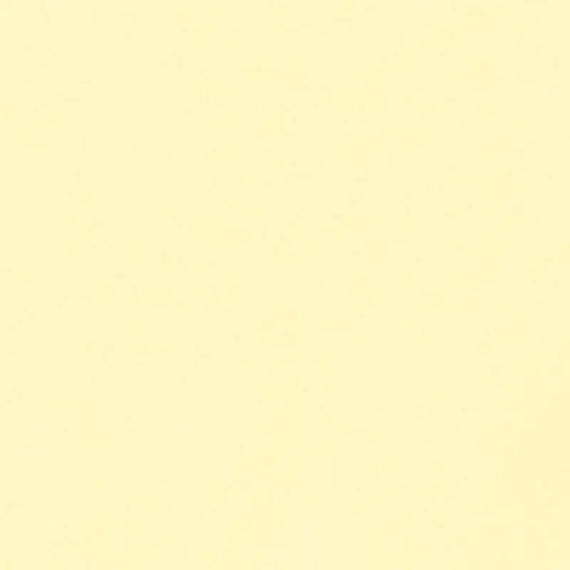 ______r의 センパイ