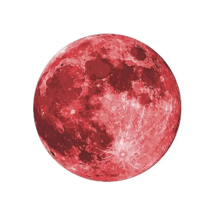 SharpReef9761의 K-POPの先生