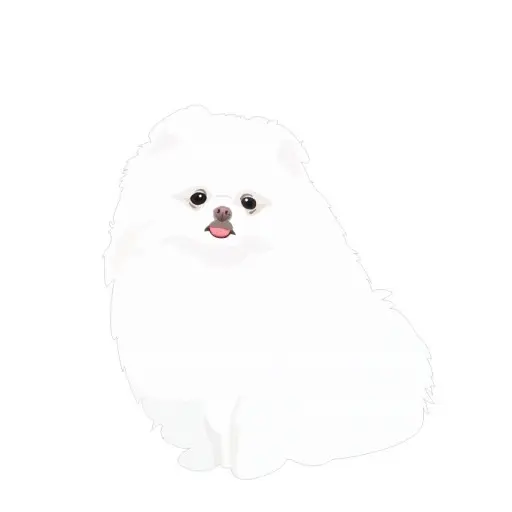LeftHooks6650의 말하는 강아지 두부