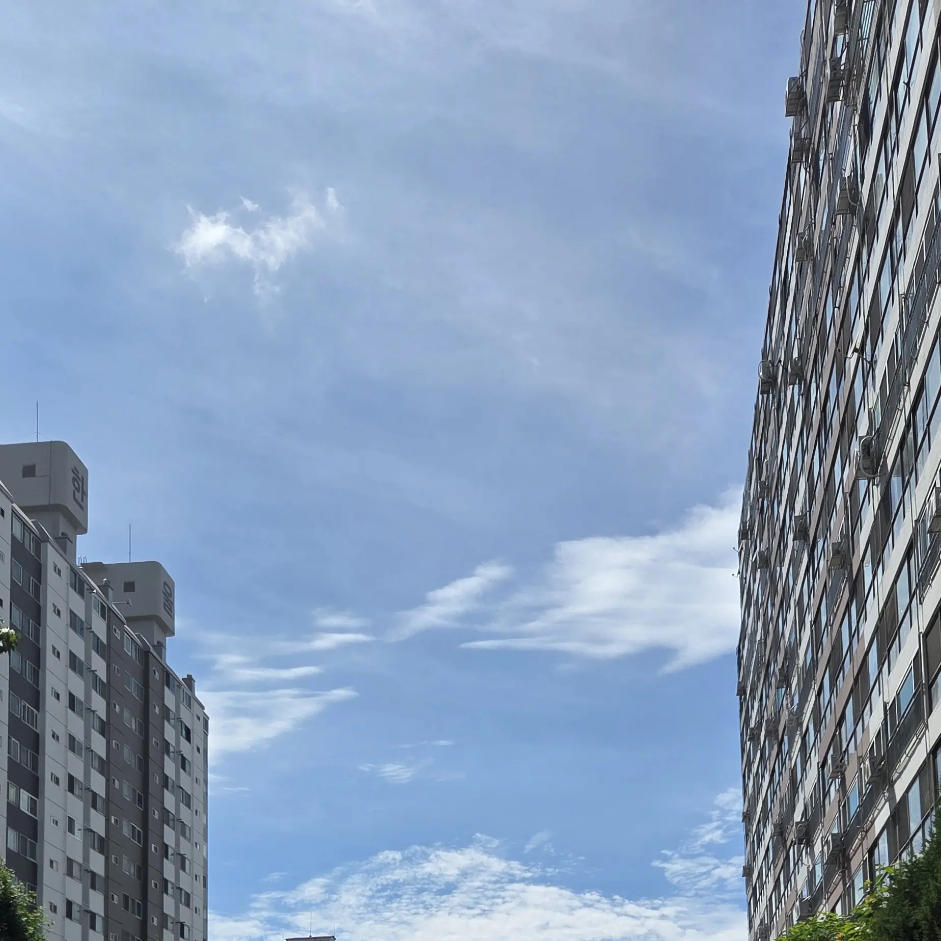 MatureMedal5761의 꿈뜰학교시리즈-오해