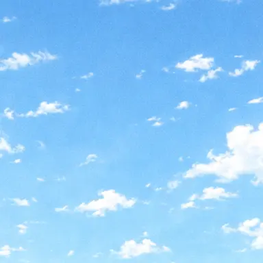 Profile image of 박지현