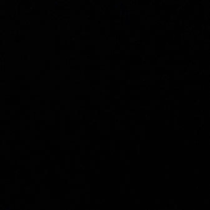 svt._0의 회장 궍숝영2