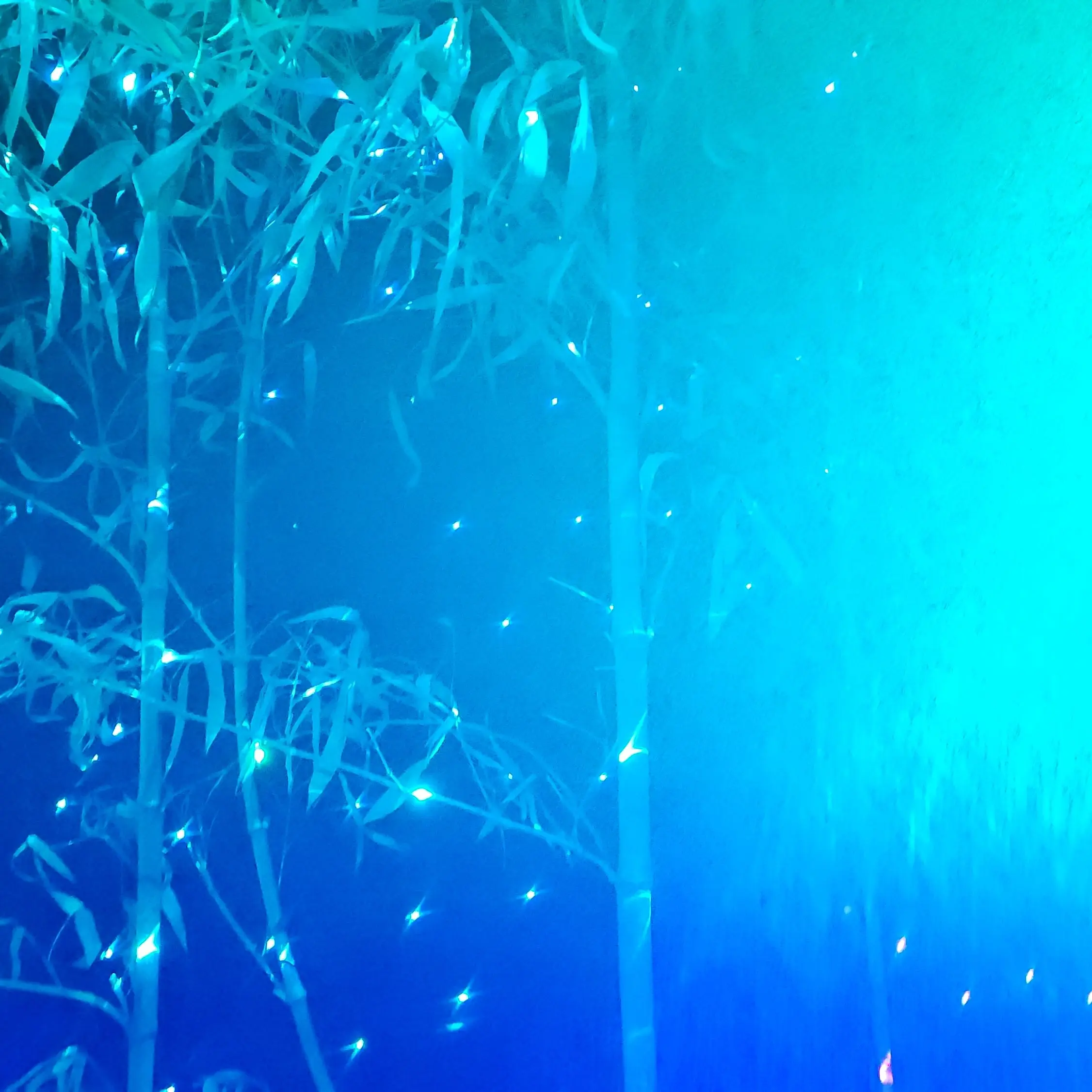 FetidSilk5211의 보이즈 플래닛1