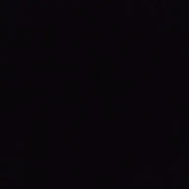Profile image of 오시온