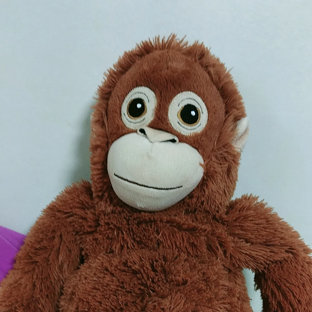 오랑이