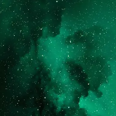 Profile image of 공룡