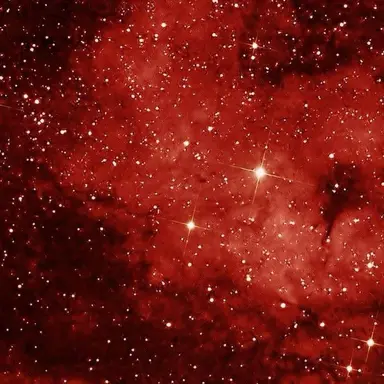 Profile image of 라더