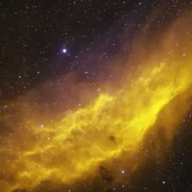 Profile image of 각별