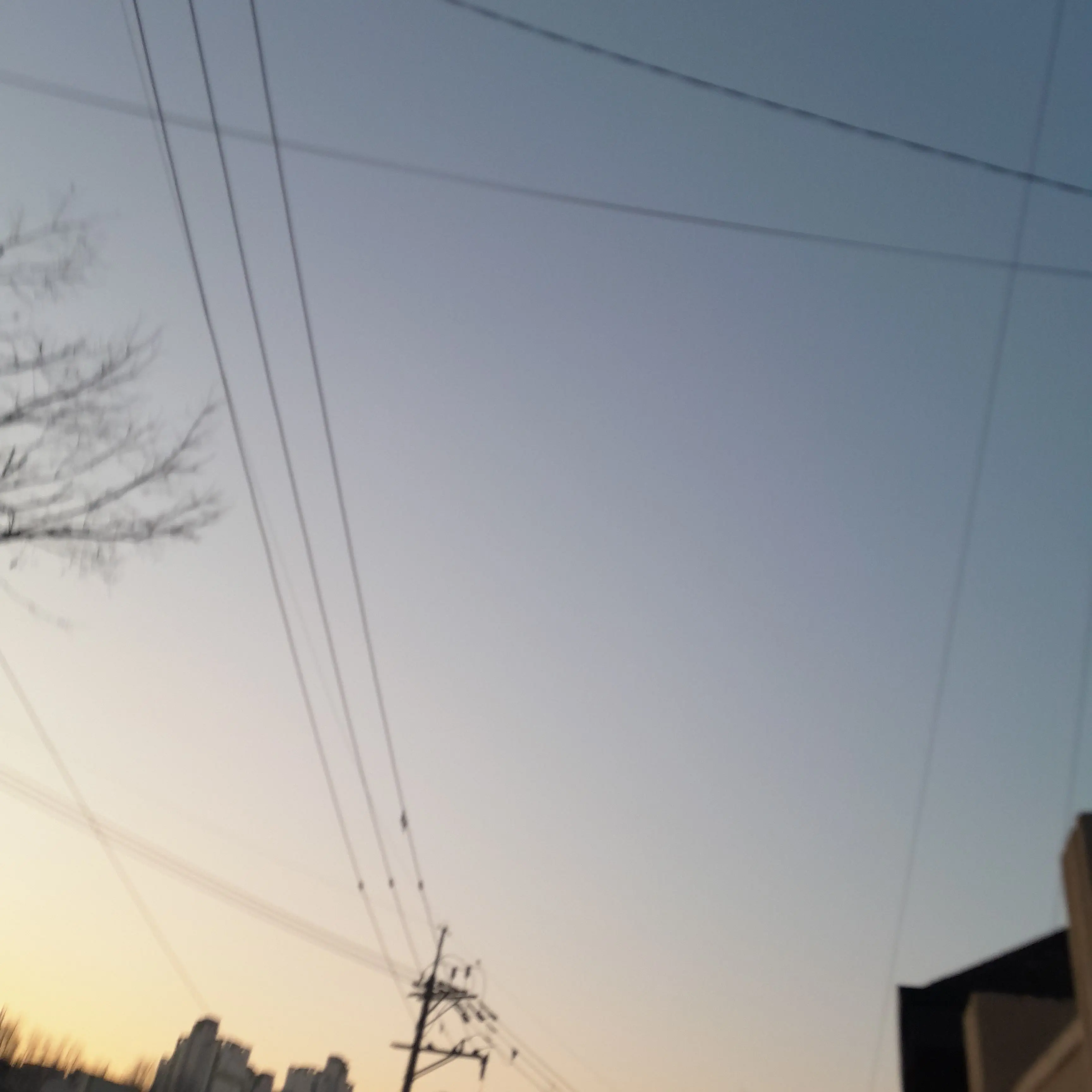 Donsa의 소한이