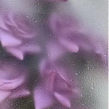 Profile image of 수현