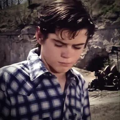 Profile image of Ponyboy Curtis