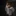 오준현