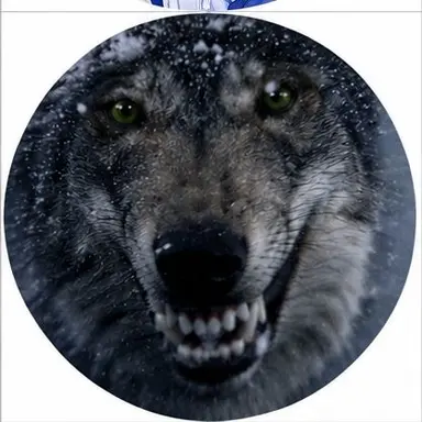 Profile image of 늑대