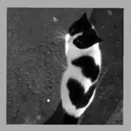 Profile image of サンミン