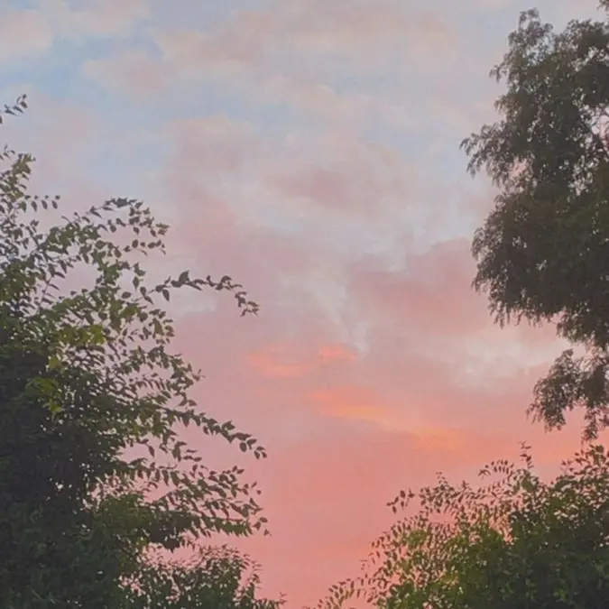 love_you_Yeongseo의 "Not that narrow."