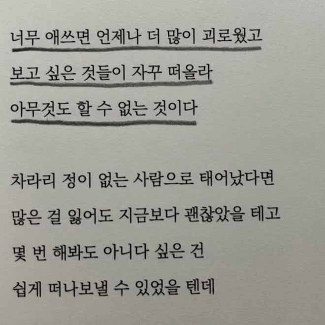 권세아 대표 이미지