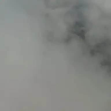 Profile image of 오유란