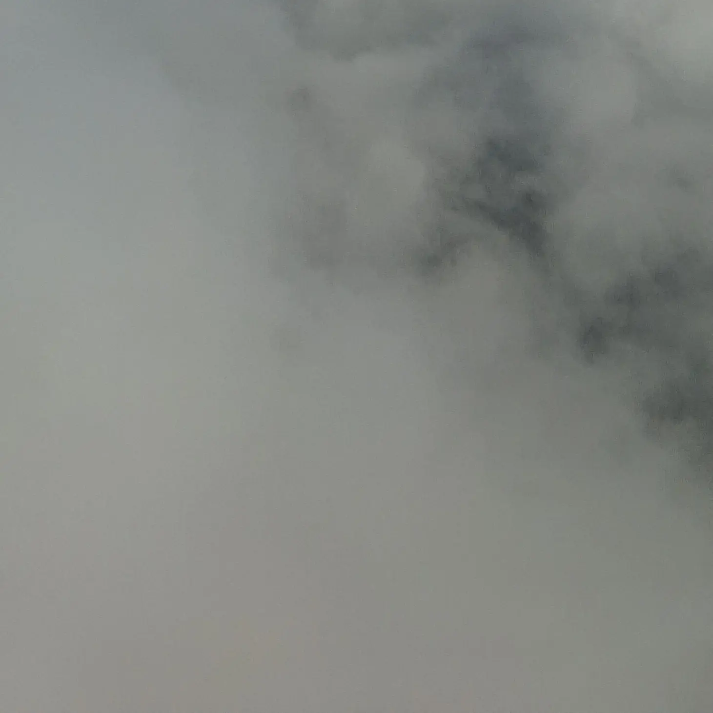 SweetAngel4401의 스프런키 유치원 (여우)