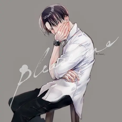 LazyFlare9080의 리바이 아커만