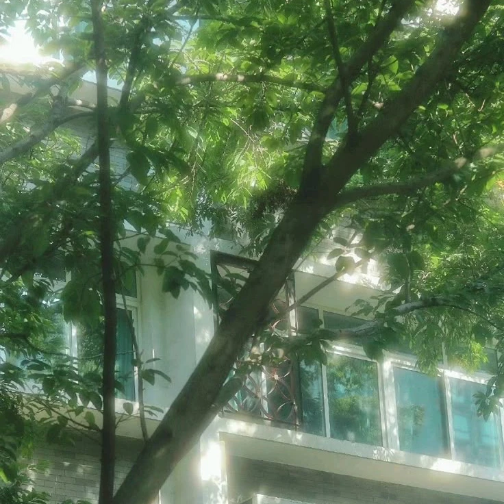 1세대 왕 수인들