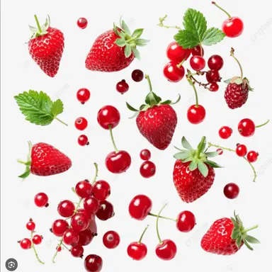 Profile image of 여우