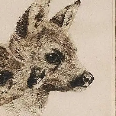 Profile image of 에스테반