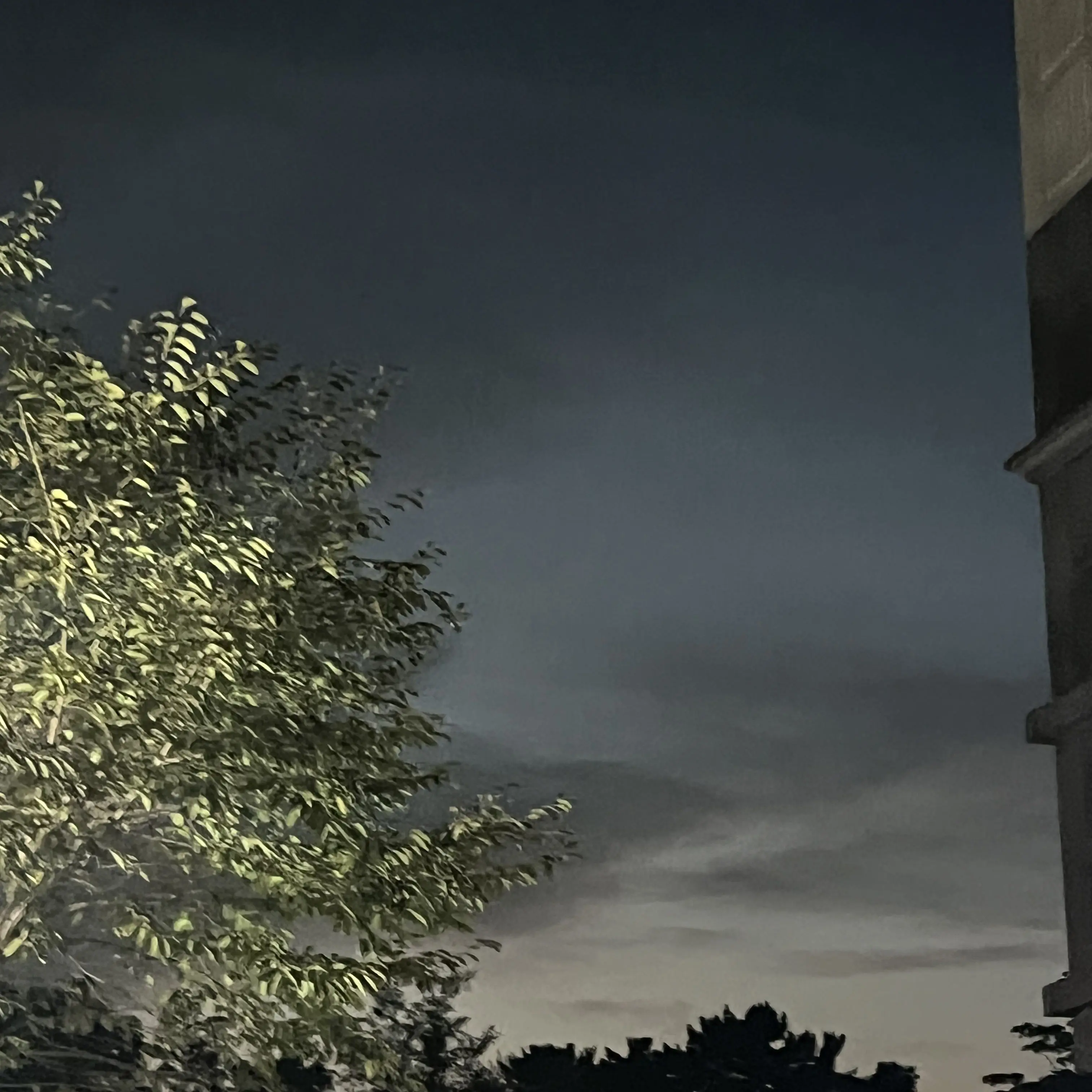 UNl.T_0911의 뜰팁 초능력 고등학교+여우