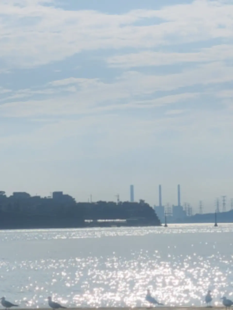 Mesa_ae의 수인이 되 [스코시즘] (사심)