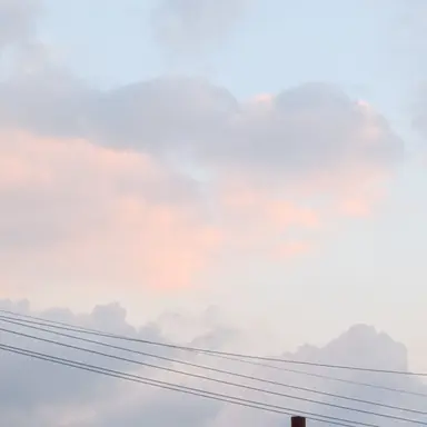 Profile image of 音駒高校